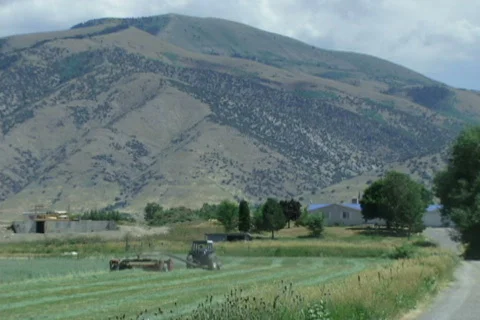 Farm Life 01 Stock Footage 333203