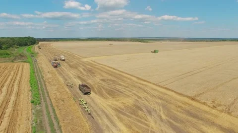 Farm machine combine in wheat rye field aerial 4k video. Harvest rural landscape Stock Footage 67315411