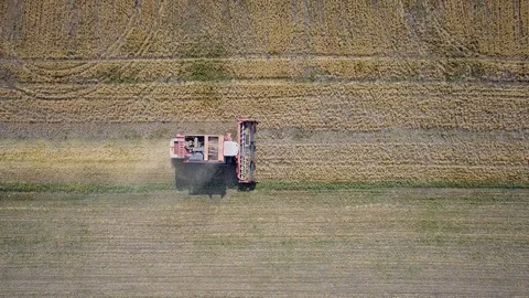Farm machinery on the field. Stock Footage 91926855