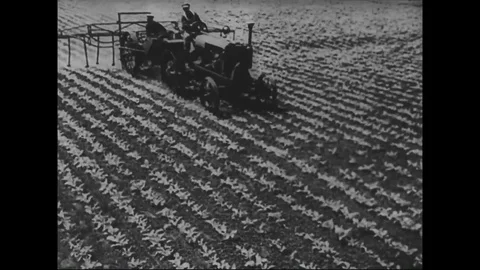 Farm machinery sprays insecticides on the crops in farm - 1930 Stock Footage 101728108