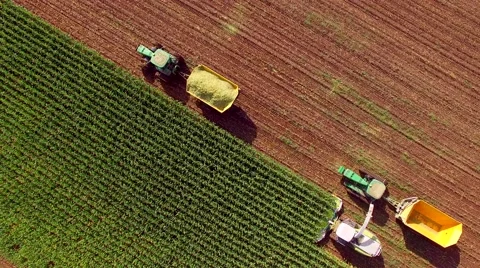 Farm machines harvesting corn for ethanol Stock Footage