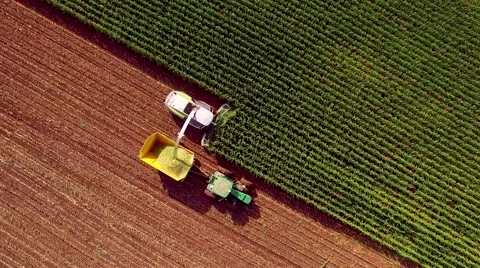 Farm machines harvesting corn, straight down aerial view. Stock Footage