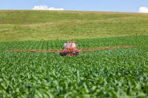 Farm Maize Corn Crop Tractor Stock Photos