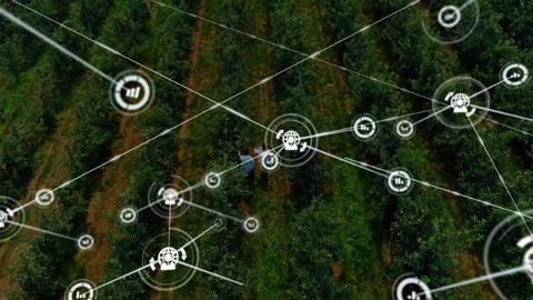 Farm managers walking orchard rows starting data node expanding mesh overlay Stock Footage 309895327