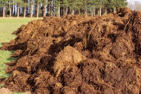 Farm manure Stock Photos
