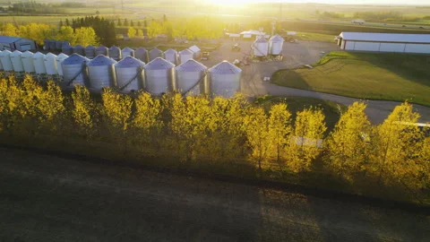 Farm With Many Grain Silos In Red Deer County, Alberta, Canada - Aerial Shot Stock Footage 306130565