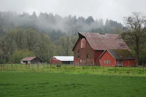 Farm in the mist Foto stock