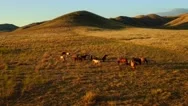 Farm With Mountains Wild Horses Sun Set Wide Slow Epic Aerial View.mp4 Stock Footage