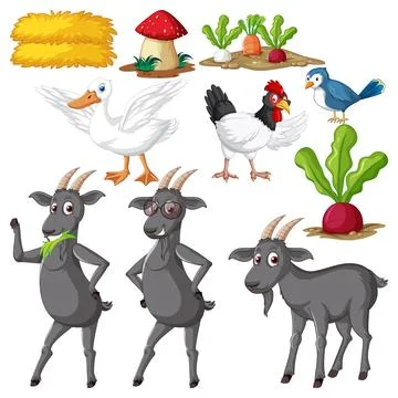 Farm Objects and Elements Vector Set Stock Illustration