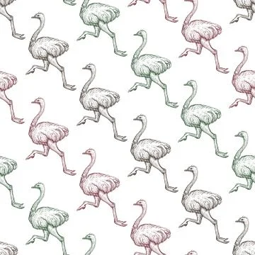 Farm ostrich gradient seamless pattern Stock Illustration