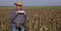 Farm Owner Wealthy Agronomist Farmer Man Prosperity Show American Dollars USD 4k or 4k+ Resolution