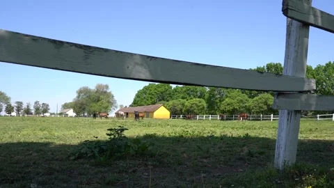 Farm panorama Stock Footage 301439993
