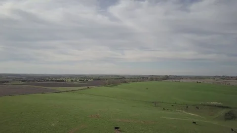 Farm pasture Видео 77706561