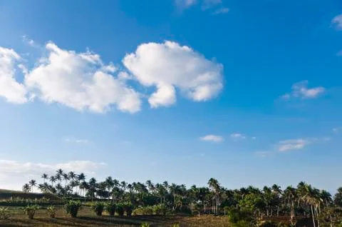 Farm Foto stock