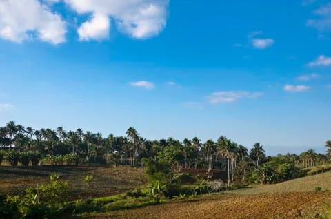 Farm Foto stock