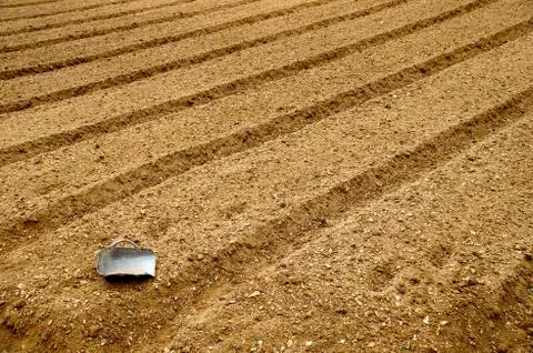 Farm Stock Photos