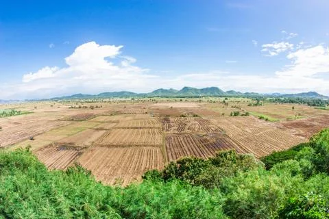 Farm Foto stock