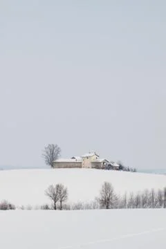 Farm Stock Photos
