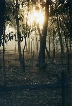 The Farm 写真素材