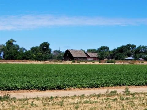 Farm Foto stock