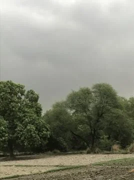 The farm Stock Photos