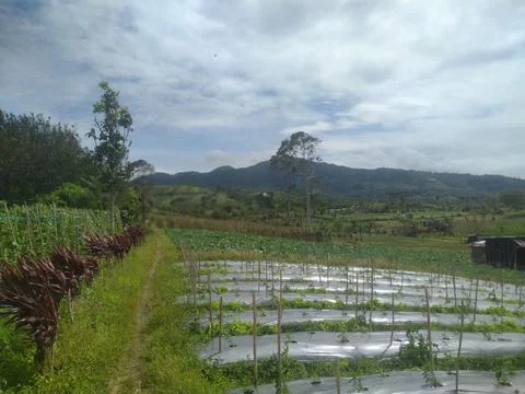 Farm Stock-Fotos