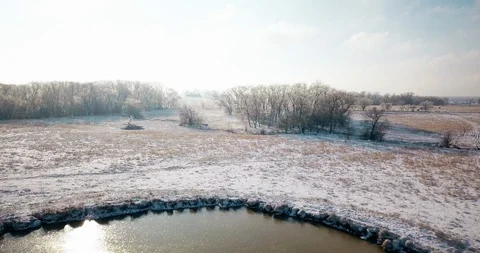 Farm Pond Stock Footage 99790875