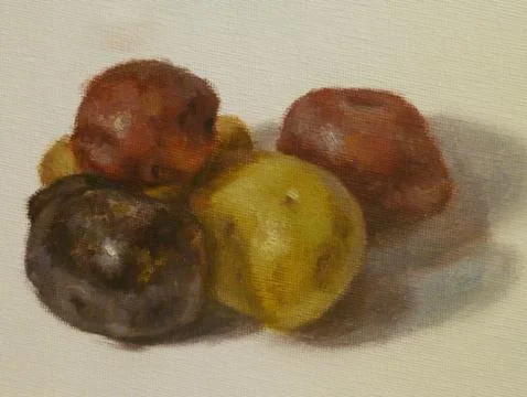 Farm Potatoes Stock Illustration