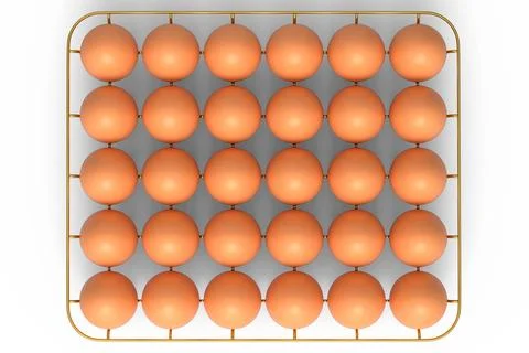 Farm raw organic brown eggs for morning breakfast in metal tray Stock Illustration