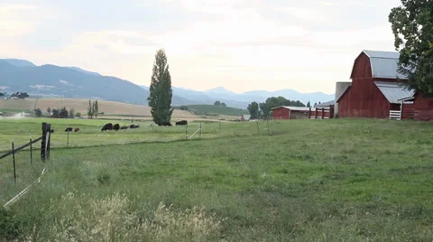 Farm with Red Barn Video stock 34480700