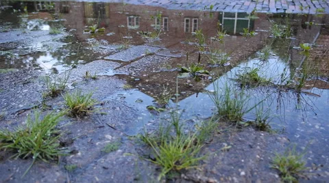 Farm reflection in water 스톡 동영상 68979297