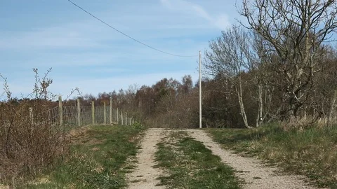 FARM ROAD Stock Footage 107788983