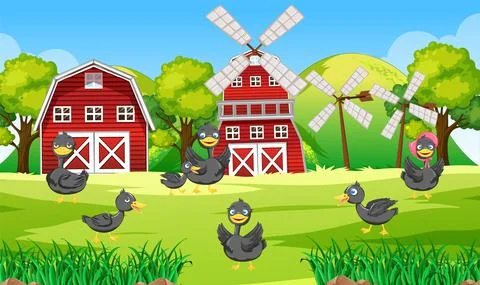 Farm scene with many ducks in the field Stock Illustration