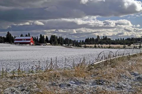 Farm  scene Stock Photos