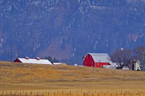 Farm  scene Stock Photos
