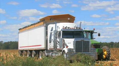 Farm semi Video stock 846058