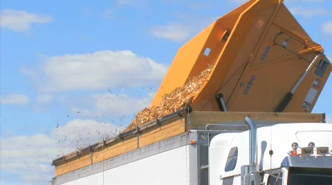 Farm semi1 Video stock 846065