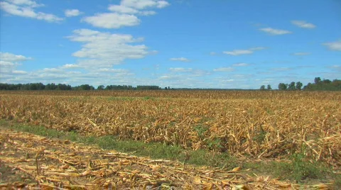 Farm semi3 Video stock 846148