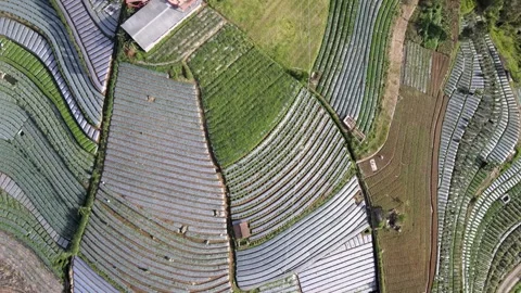 Farm &amp; Settlement on Slope Stock Footage 146568139