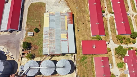 Farm setup shows buildings and silos at a pig farm with red roofs and storage Stock Footage 340953860