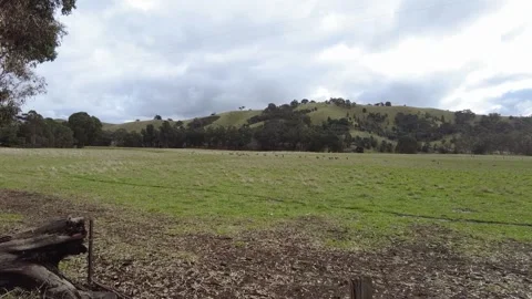 Farm with Sheep in the Distance Stock Footage 188583206