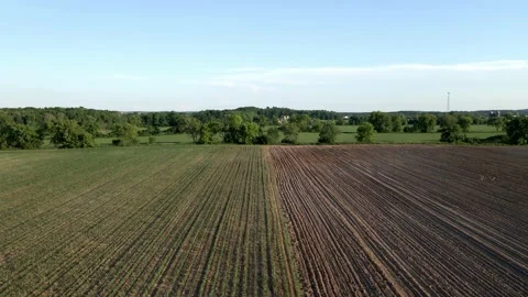 Farm Shot 4 Video stock 155383815