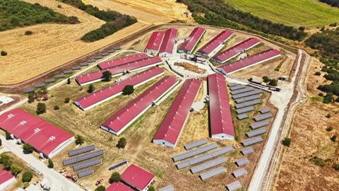 Farm shows multiple pig barns and solar panels in a large field Stock Footage 340954152