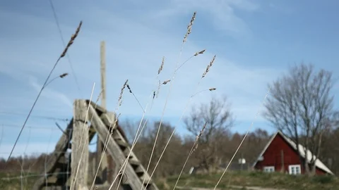 FARM IN SKÅNE Stock Footage 107787930