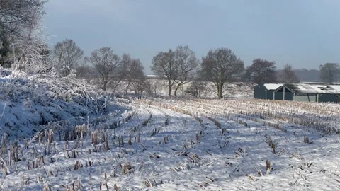 Farm snow field maize corn stubble scenic Stock Footage 297582455