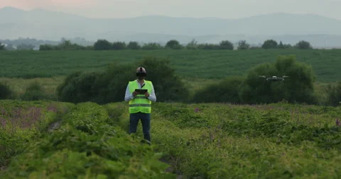 Farm specialist engineer using technology VR monitoring drone harvest working Stock Footage 136384334