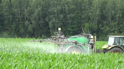 Farm sprayer work on corn field plants with chemicals in summer. 4K Stock Footage 57134238