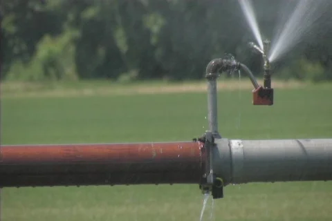 Farm Sprinkler Stock Footage