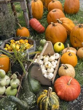 Farm Stand Stock Photos