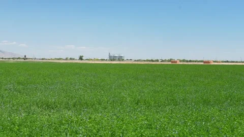 On Farm Storage Stock Footage 245046859